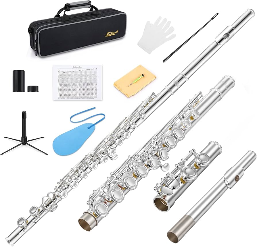Amazon | Eastar フルート カバードキー 銀メッキ 16穴 Eメカ付き