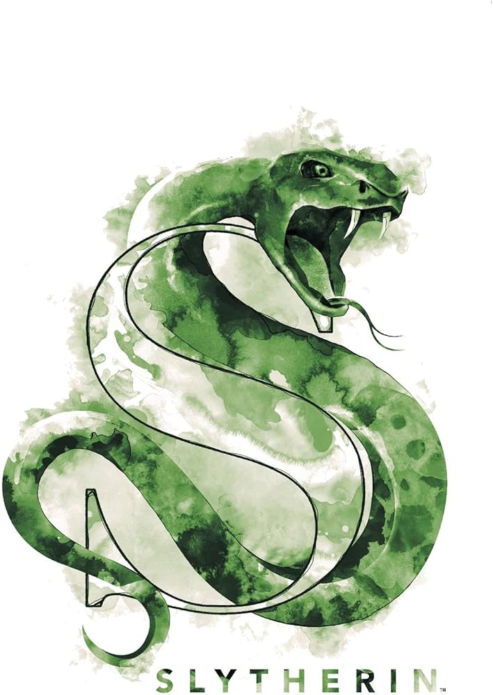 Amazon.co.jp: Trends International Wizarding World:ハリー