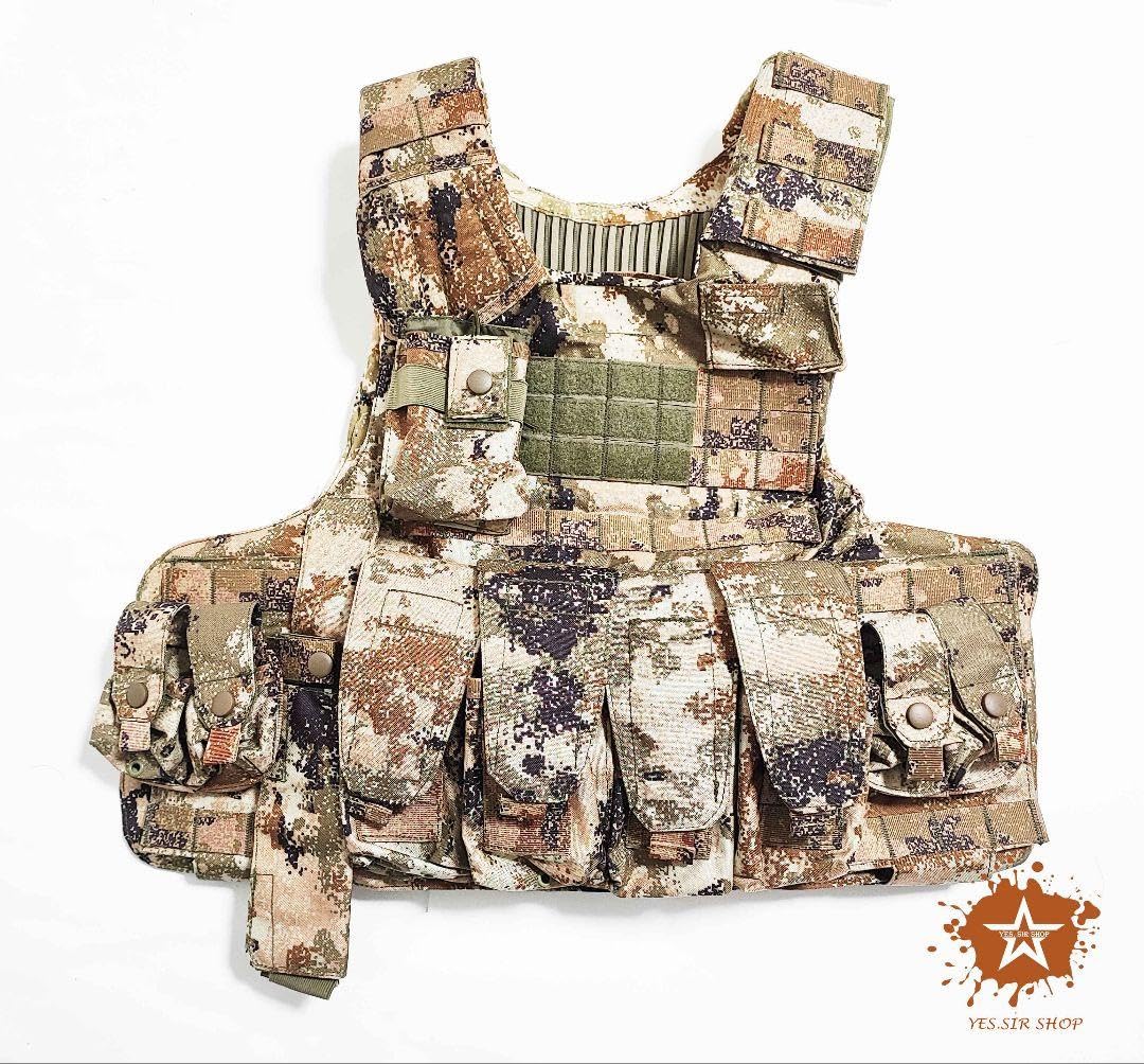 Amazon.co.jp: 中国軍 中国人民解放軍 21式 星空荒漠迷彩 プレート