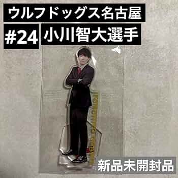 717k0HKIx7L._AC_UF350,