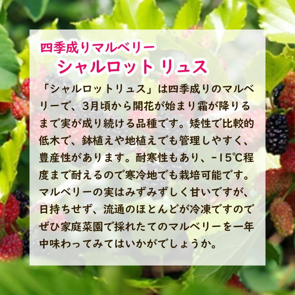 718DKtwOKbL._AC_UF1000,