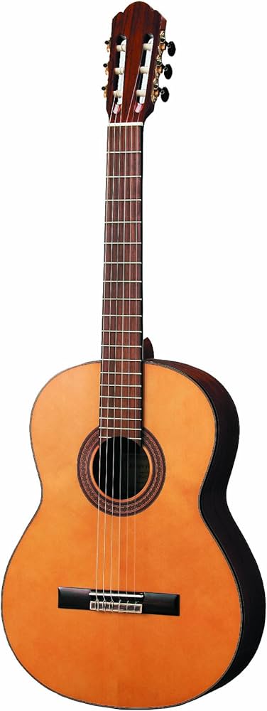 Amazon | ゼンオン クラシックギター ZG-250N | クラシックギター