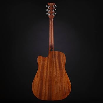 Amazon | Ibanez アイバニーズ パフォーマンス・シリーズ エレアコ