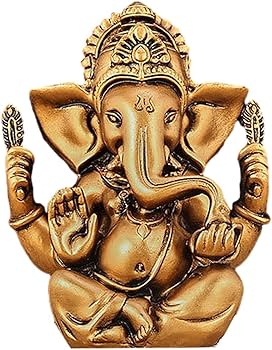 718R4fktikL._AC_UF350,