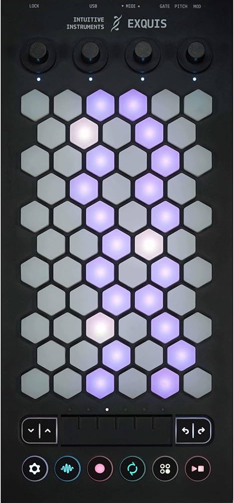 Amazon.com: Intuitive Instruments Exquis 61-Key MPE MIDI