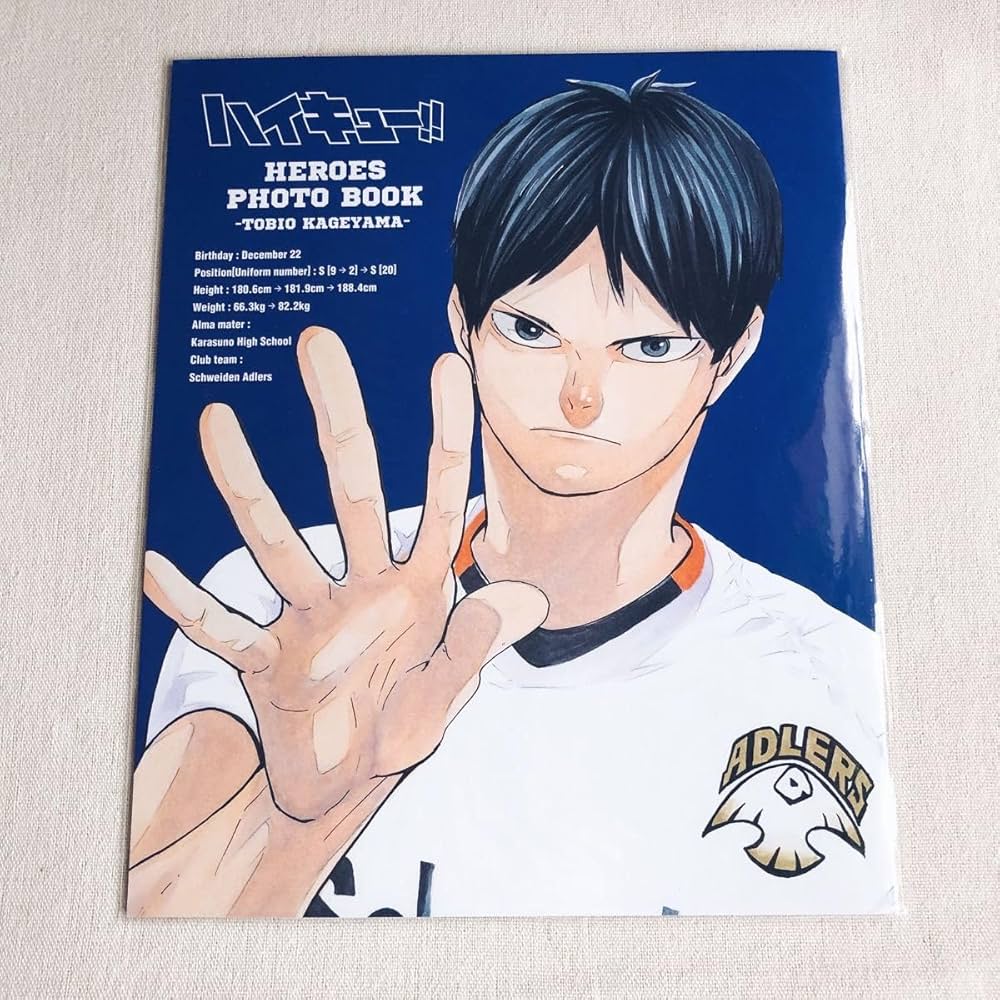 Amazon | ハイキュー 影山飛雄 HEROES PHOTO BOOK ハイキュー ポスト
