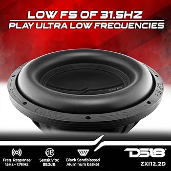 Amazon.com: DS18 ZXI12.2D 12 Inches High Excursion Car Subwoofer