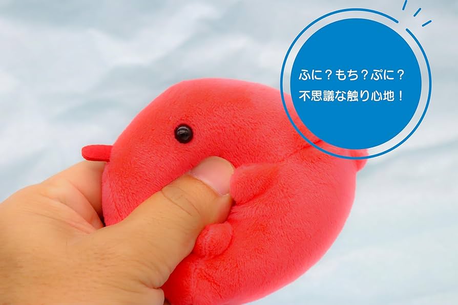 Amazon.co.jp: テイクオフ ぽけぷに メンダコ ふしぎなさわりごこち