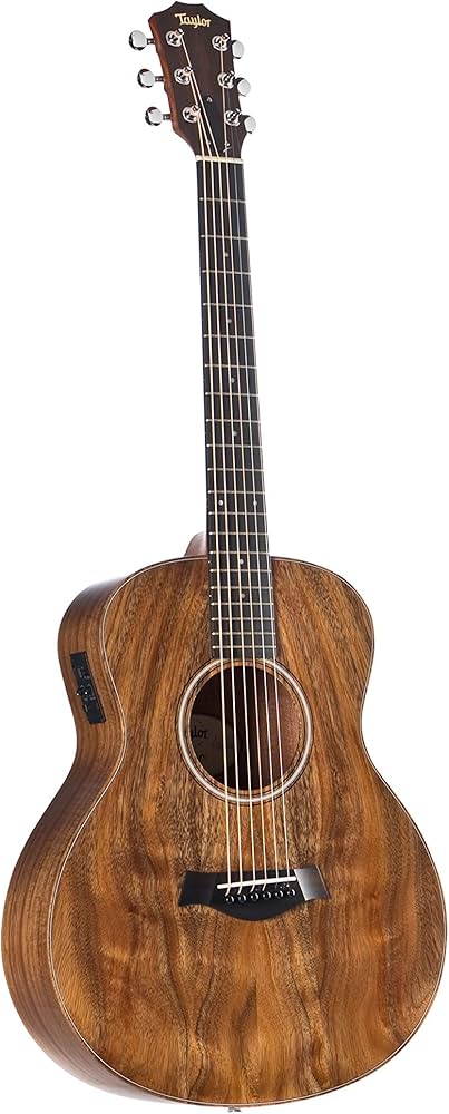 Amazon | Taylor GS Mini-e Koa エレアコギター テイラー | エレアコ