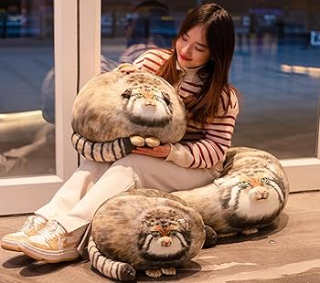 ALD1 サンウォン 猫 クッション サンウォンのベットにあった猫の