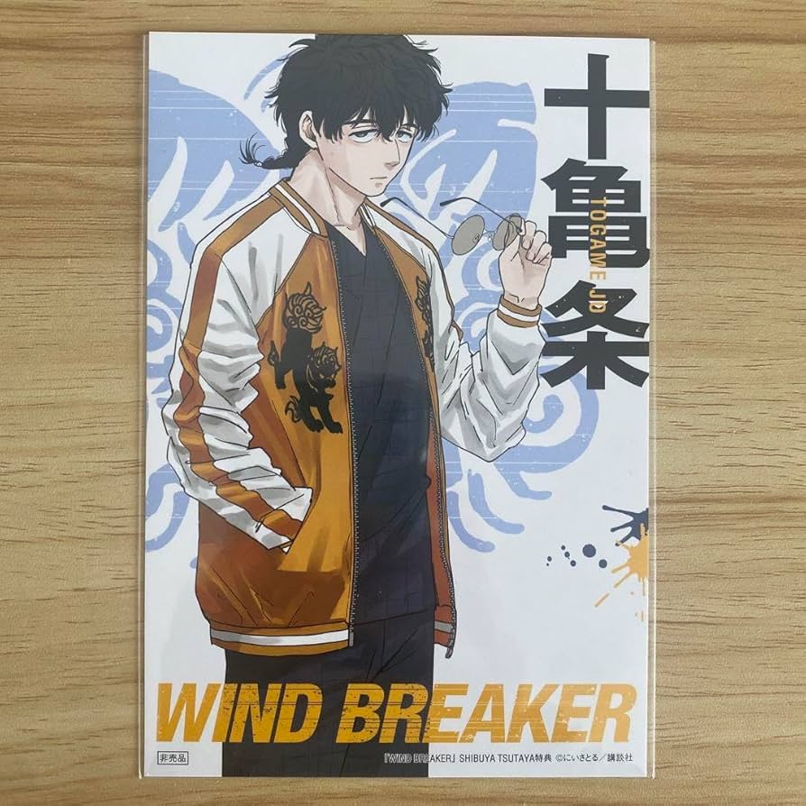 Amazon.co.jp: WIND BREAKER ウィンドブレーカー 十亀 条 TSUTAYA渋谷