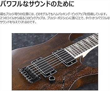 Amazon | GIO Ibanez 初心者向けエレキギター (メタリック・グレイ