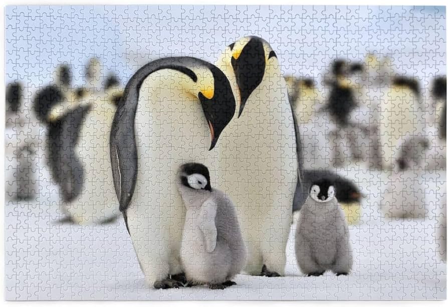 Amazon | ペンギン 1000 ピース ジグソーパズル 木製 減圧 レジャー