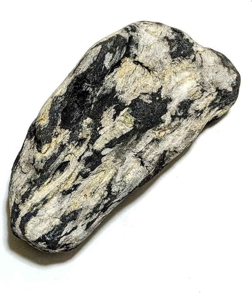 Amazon.co.jp: 青森県産 津軽錦石 珪化木 木化石 樹化石 原石 置石