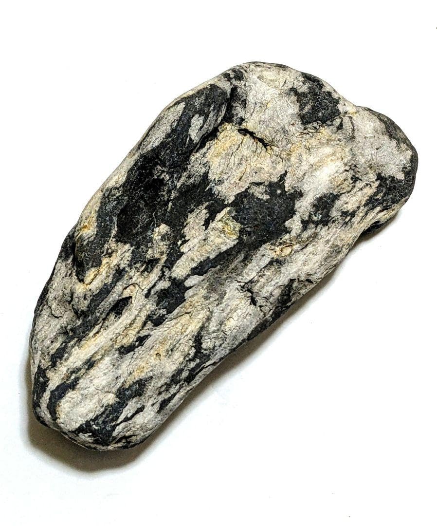 Amazon.co.jp: 青森県産 津軽錦石 珪化木 木化石 樹化石 原石 置石