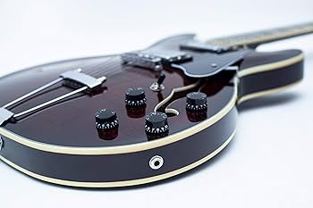 Amazon | エレキギター NEW GROTE 335 style Jazz Electric Guitar