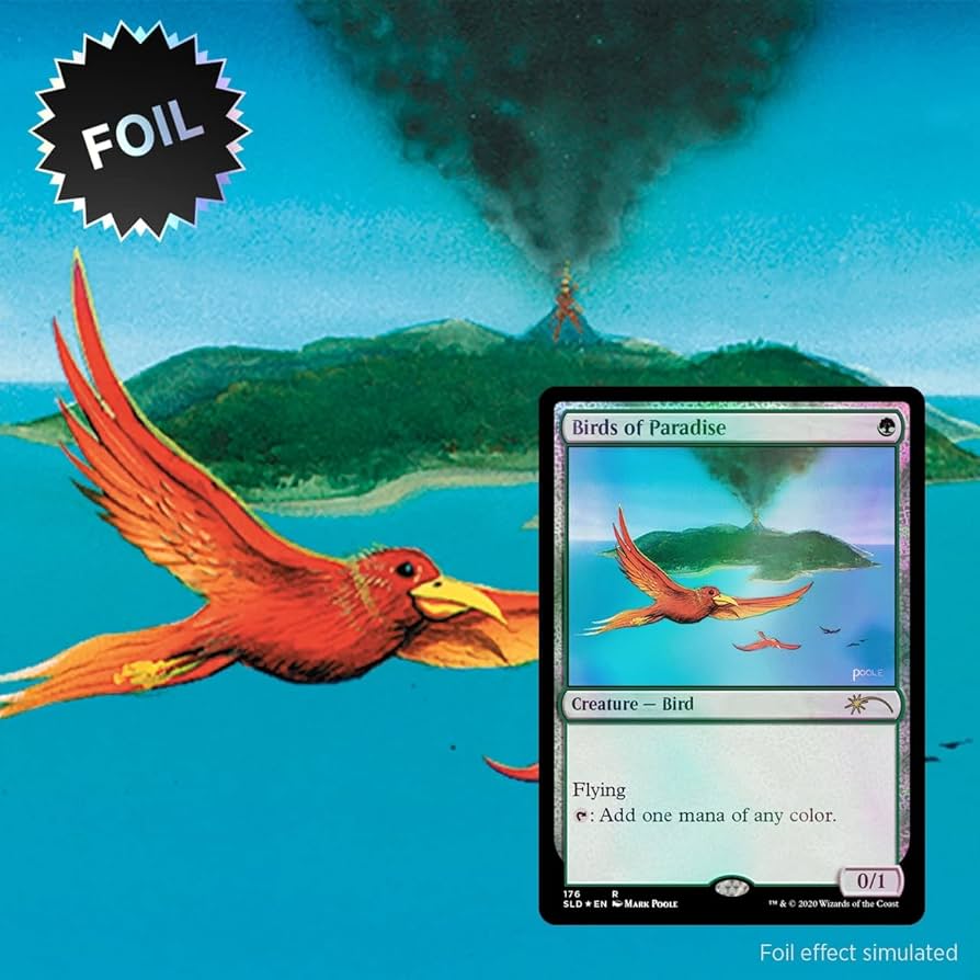 Amazon.co.jp: マジック:ザ・ギャザリング MTG Secret Lair「Artist