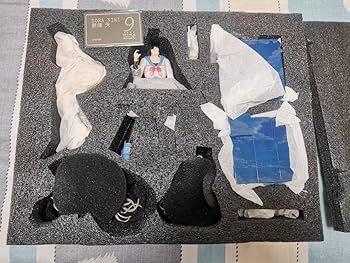 Amazon.co.jp: 9-nine- にいみ そら 16 ガレージキット ガレキ