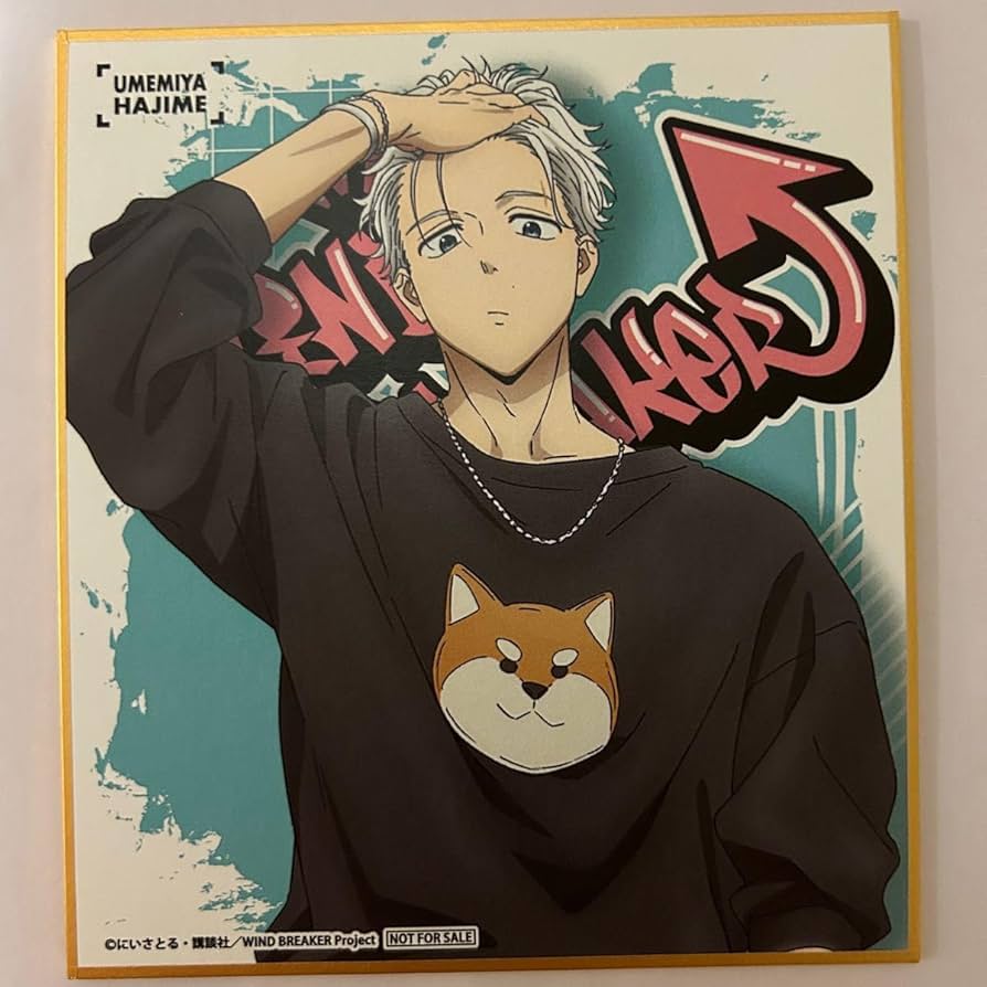 Amazon.co.jp: WIND BREAKER ストリートver DISP 特典 色紙 梅宮一