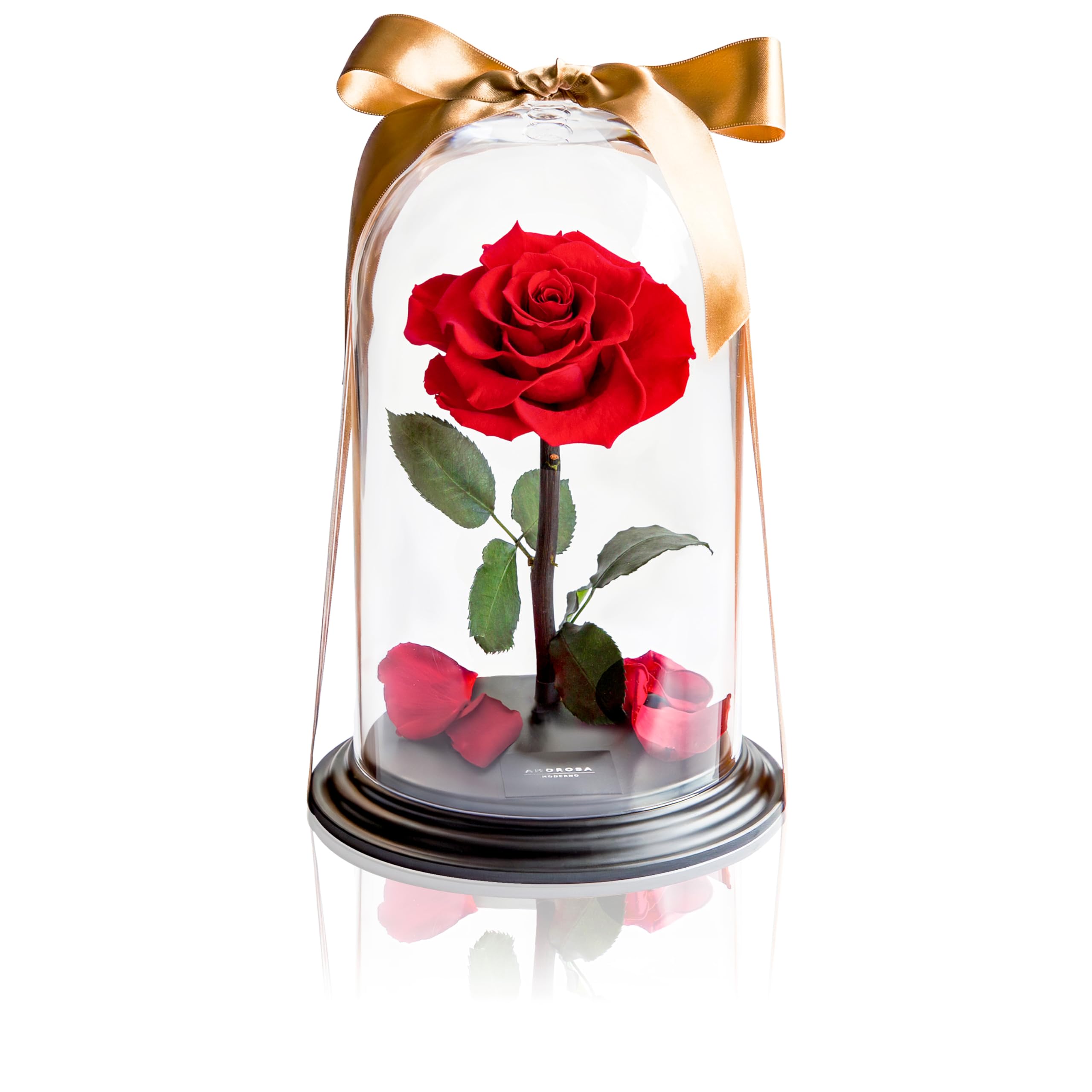 Amazon｜AMOROSA アモローサ プリザーブドフラワー デスティニーローズ