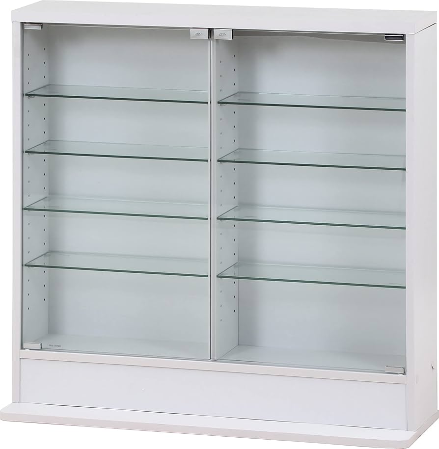 Amazon.co.jp: 不二貿易(Fujiboeki) コレクションケース フィギュア