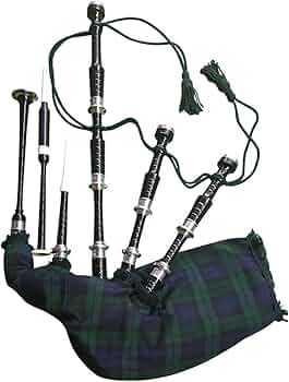 Amazon.co.jp: TC Bagpipes 初心者フルセット 本付き バグパイプの