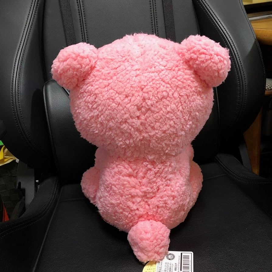 71-SMbGZCUL._AC_UF894,