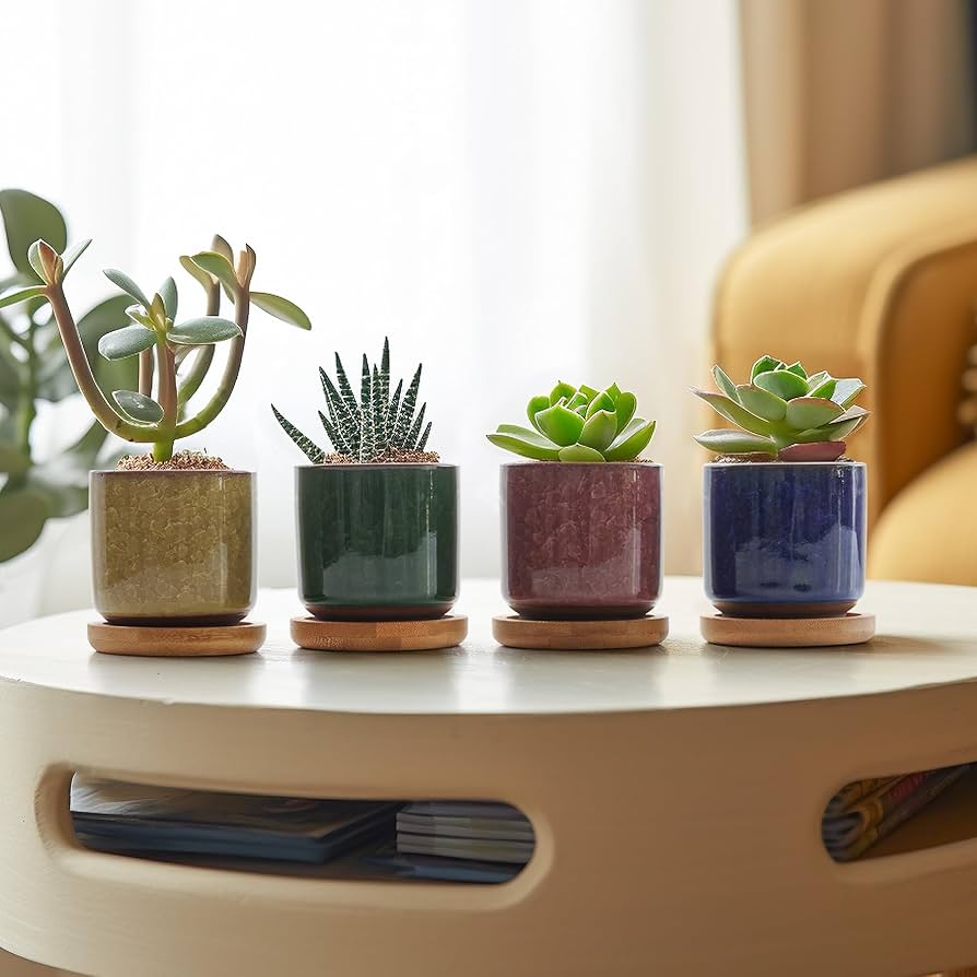 Amazon.co.jp: T4U 6cm 多肉植物鉢 サボテン鉢 氷裂釉 陶器 植木鉢 2号