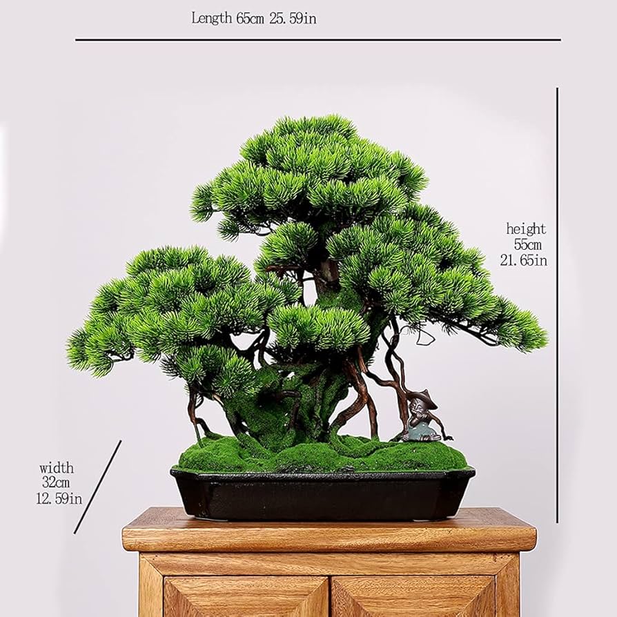 71-h0gqFjFS._AC_UF894,