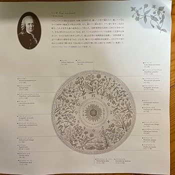 Amazon.co.jp: Noritake ノリタケ リンネコレクション 特製額装入り皿