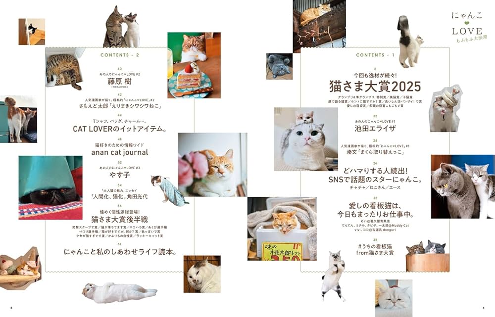 Amazon.co.jp: anan特別編集 にゃんこLOVE もふもふ大渋滞