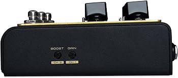 Amazon.com: Friedman IRX Dual Tube High Voltage Preamp DI/IR