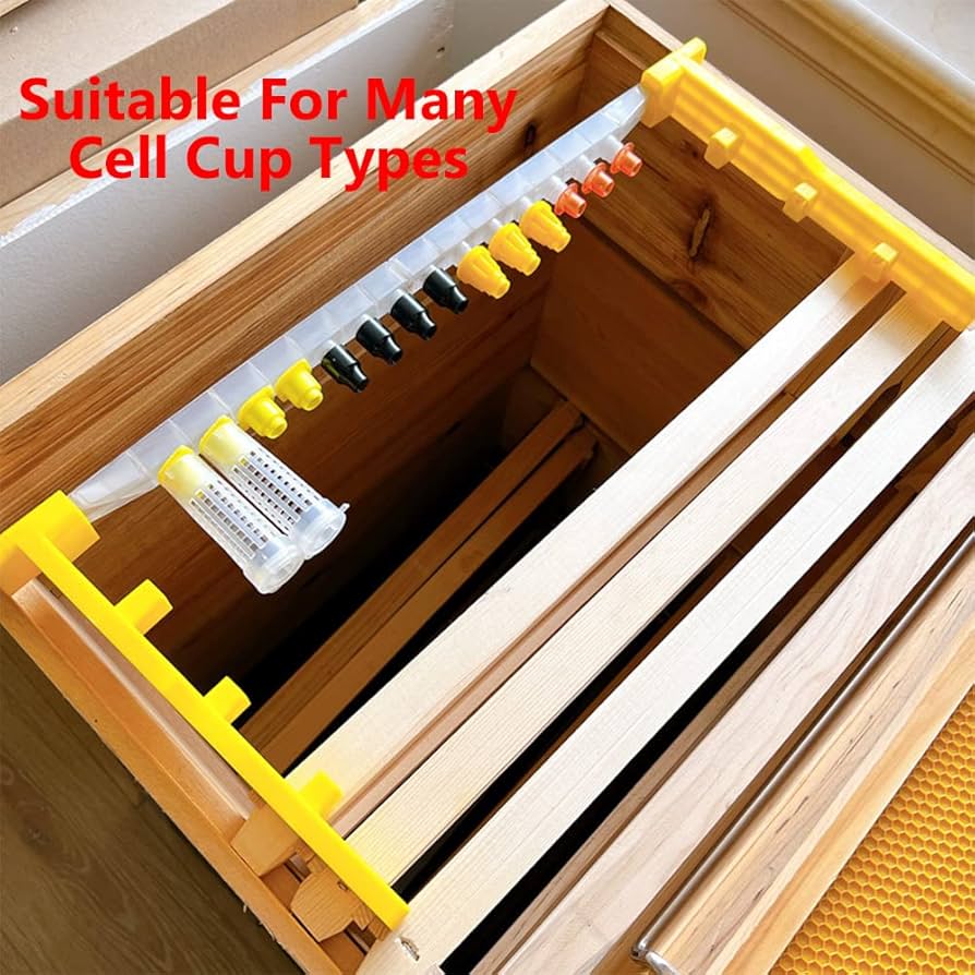 710MOSCvNWL._AC_UF894,