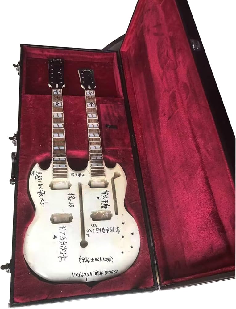 Amazon | alljita カスタム ダブルネックギターケース 長方形型ギター