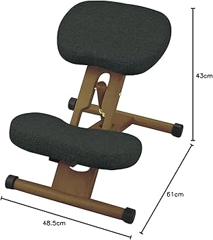 Amazon｜宮武製作所 プロポーションチェア 幅48.5×奥行61-68×高さ43