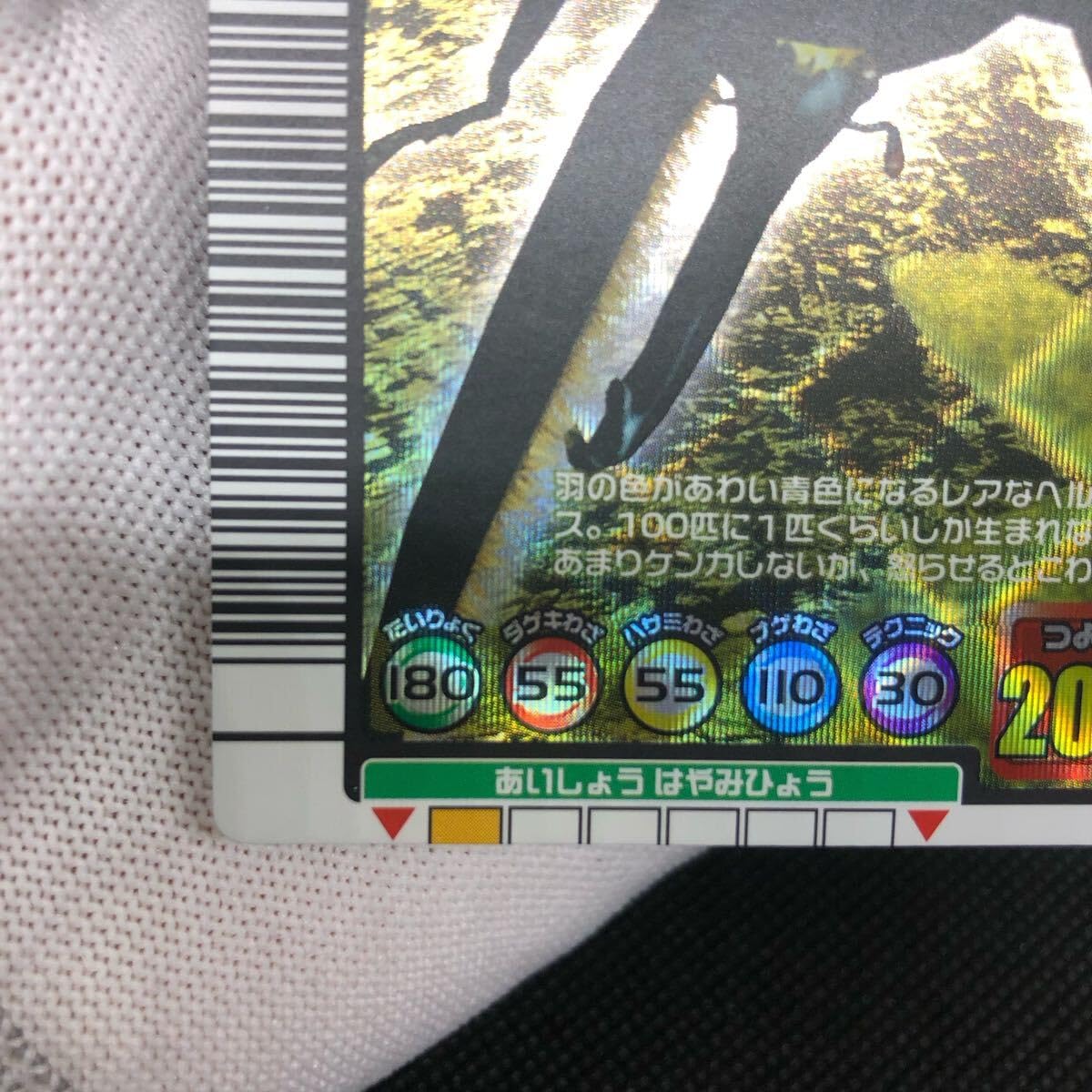 Amazon.co.jp: 甲虫王者ムシキング ムシキングカード 2004セカンド