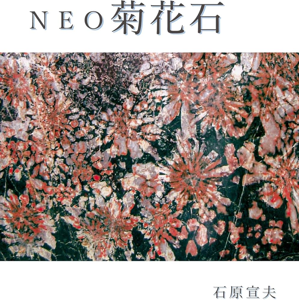 NEO菊花石 | 石原 宣夫 |本 | 通販 | Amazon