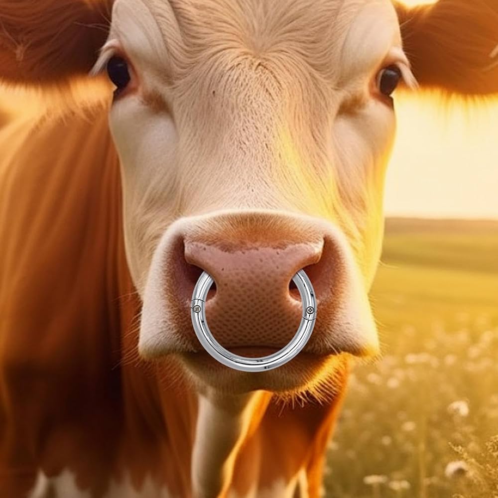 Amazon.co.jp: Pommyyn 雄牛用鼻輪、牛用鼻輪 - ブルコントロール用