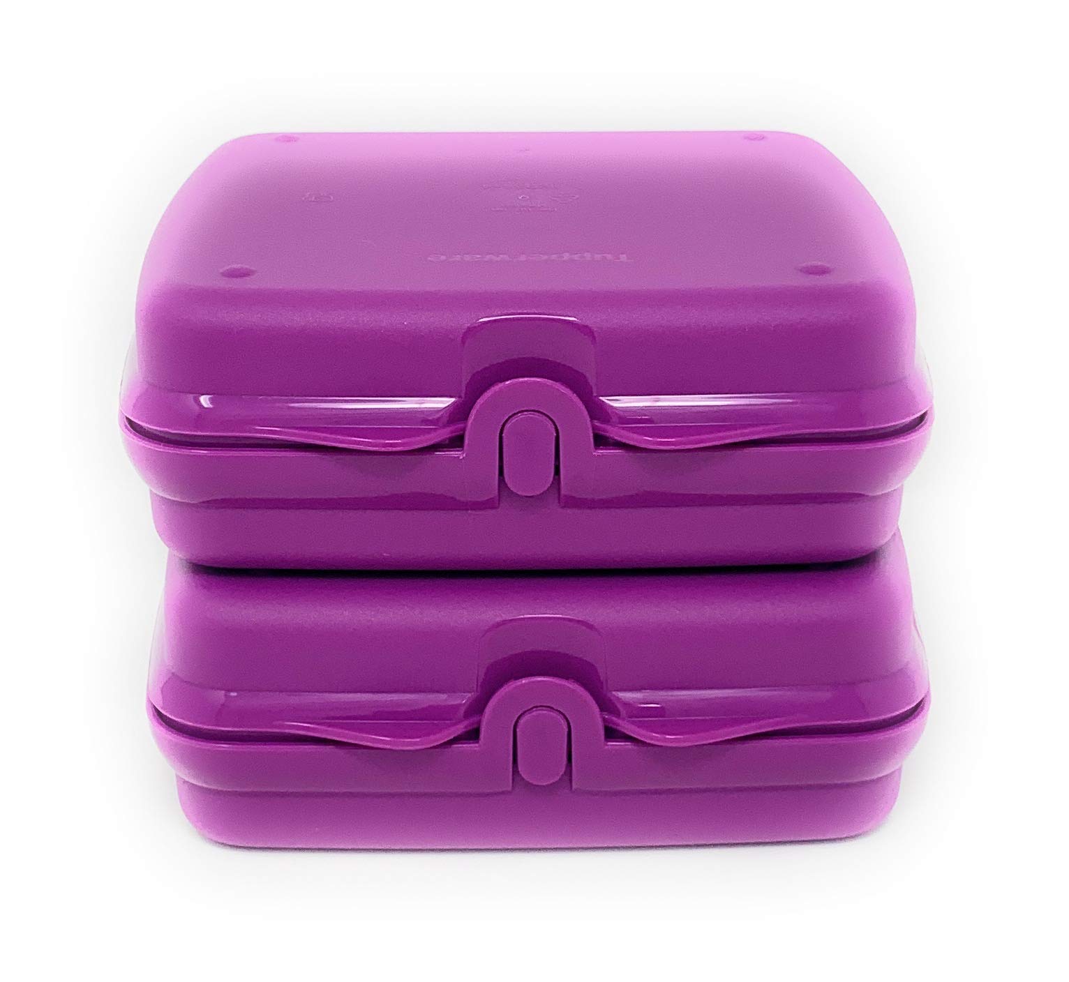 Amazon.com: Tupperware Sandwich Keeper Set in Purple, Hinged Cover