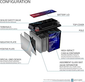 Amazon.com: Mighty Max Battery YTX12-BS 12V 10AH Battery for Honda