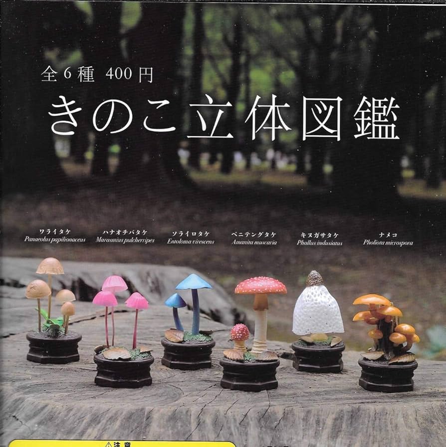 Amazon | 》きのこ立体図鑑【全6種フルコンプセット】 ～ 未 菌糸工房