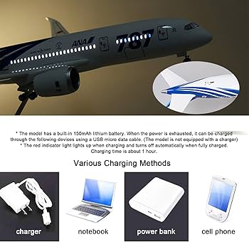 Amazon.co.jp: 16.9 インチ 1:130 スケールモデル飛行機 ANA B787
