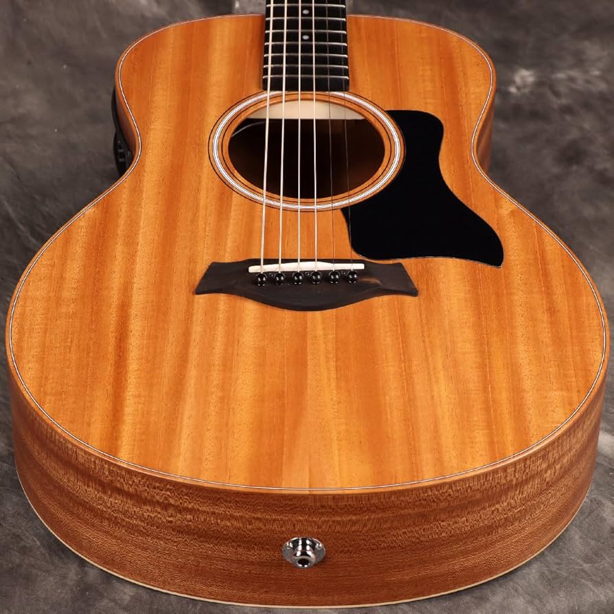 Amazon | Taylor/GS Mini-e Mahogany [定番人気品 新プリアンプ搭載