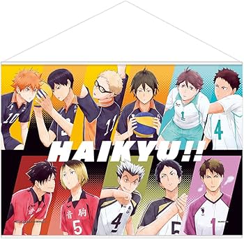 Amazon.co.jp: 一番くじ ハイキュー！！ ラストワン賞 掛式アート