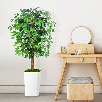 Amazon｜Keeplush【フェイクグリーン ベンジャミン 高150cm】観葉植物