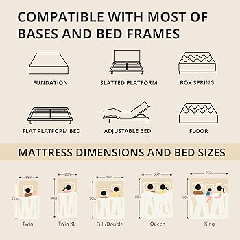 Amazon.com: EGOHOME 14 Inch Twin XL Memory Foam Mattress for Back