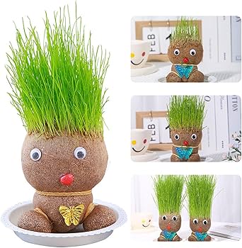 Amazon.co.jp: グラスヘッドの髪が伸びるおもちゃ,デスクトップ