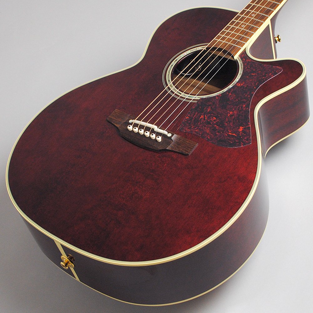 Amazon | Takamine DMP551C WR エレアコギター 500シリーズ (タカミネ