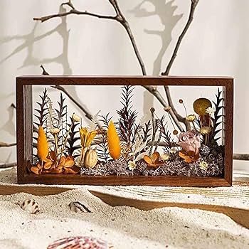 Amazon.co.jp: Benboo 木製シャドーボックスフレームガラス収納