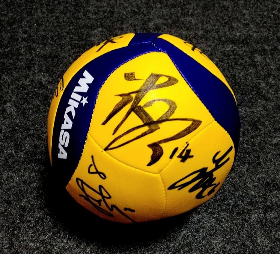 Amazon.co.jp: 全日本男子バレー15名選手直筆サインボール : スポーツ